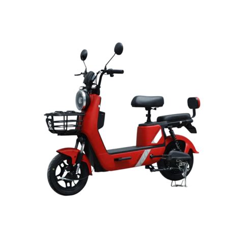 Goda Electric Bike Golden Tiger Series – Denpasar Electronic