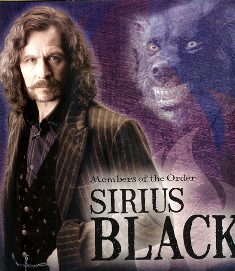 Sirius pics - Sirius Black Photo (164957) - Fanpop