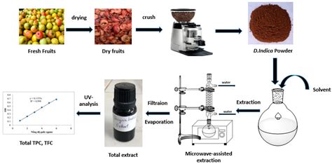 Processes | Free Full-Text | Optimization of Microwave-Assisted ...