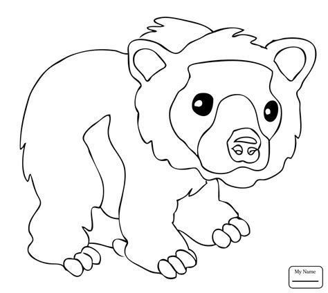 Bear Cub Drawing at GetDrawings | Free download