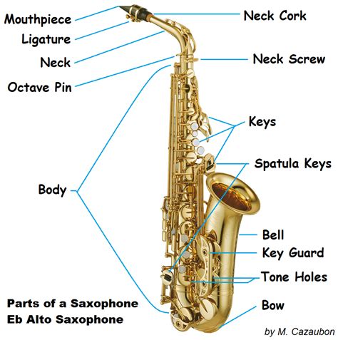 Parts of the Saxophone