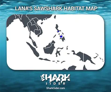 Lana’s Sawshark – Facts, Size, Behavior, Diet, Pictures