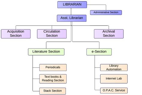 Library Organization Chart