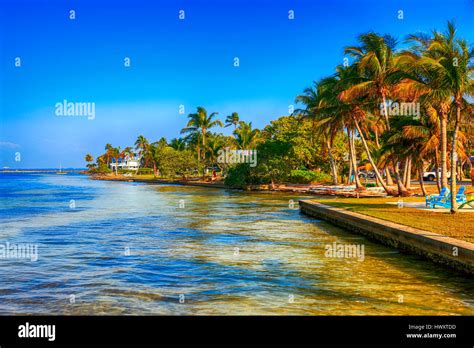 Bokeelia hi-res stock photography and images - Alamy