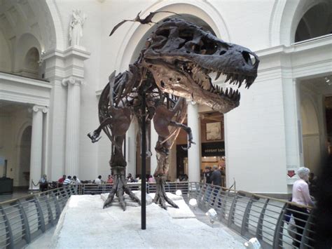 A day at the Field Museum | Sue the T rex at Chicago's Field… | Flickr