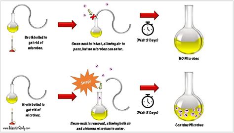 Devakumar Joseph: Fundamentals of Microbiology