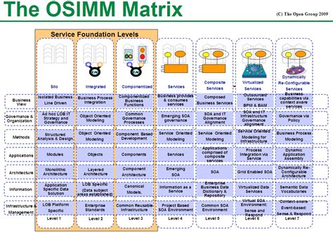 How Mature Is Your Service Architecture - Large Data Program Consulting