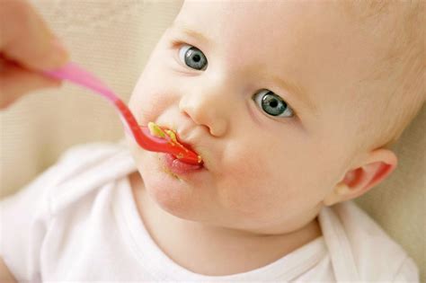 Spoon-feeding Photograph by Ruth Jenkinson/science Photo Library - Fine Art America