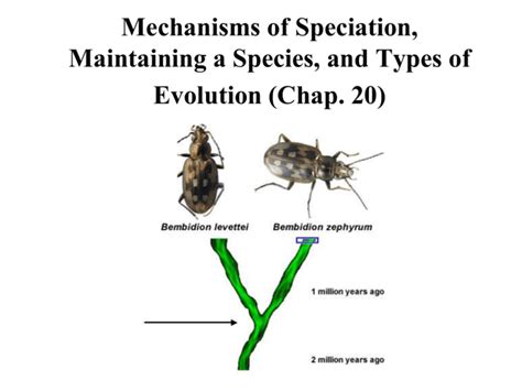 Mechanisms of Speciation (Chap. 20)