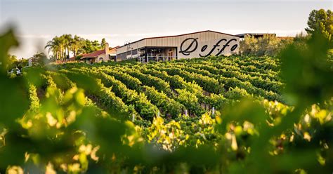 Doffo Winery Vineyards - Doffo Wines