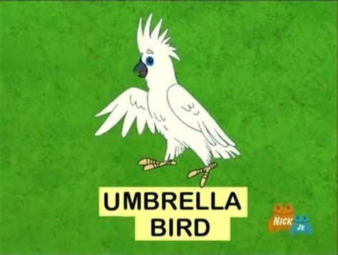 Umbrella Bird | Dora the Explorer Wiki | Fandom