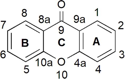 Frontiers | Xanthone Biosynthetic Pathway in Plants: A Review