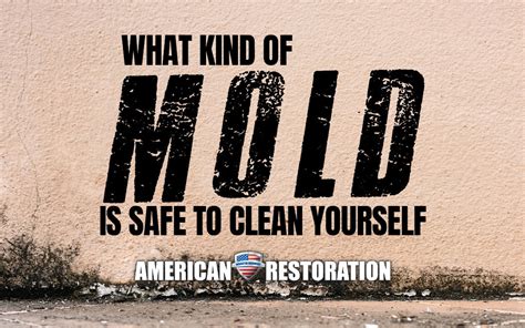 What Kind of Mold is Safe to Clean Yourself | American Restoration