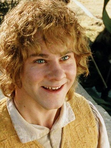 Meriadoc (Merry) Brandybuck | Wiki | Lord Of The Rings Amino