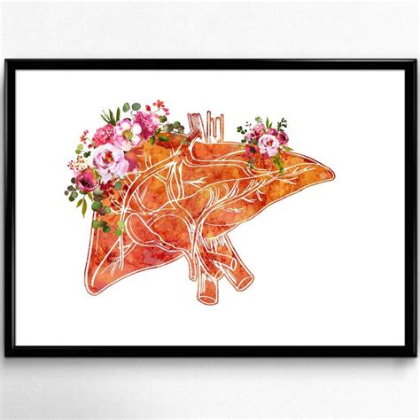 Liver Illustration Poster Medical Science Watercolor Digital - Etsy | Watercolor print, Medical ...