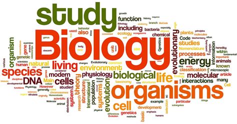 Biology Extended Essay - AMAZING WORLD OF SCIENCE WITH MR. GREEN