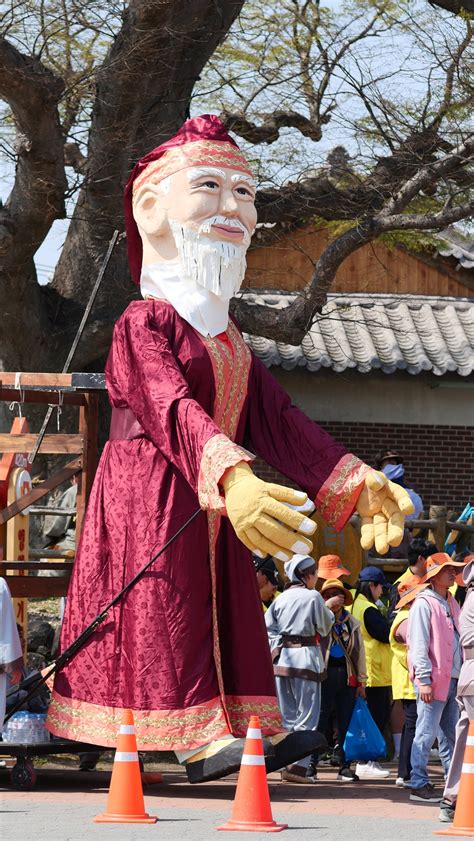 Cherry blossoms at Yeongam Wangin Culture Festival - The Korea Times