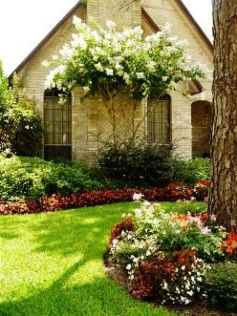 Crape-Myrtles in Southern Landscaping | hubpages