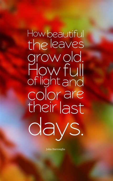 32 Inspirational Autumn Quotes With Images