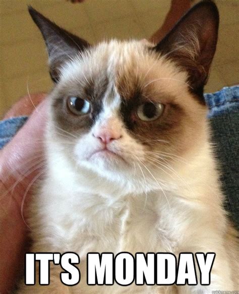 It's Monday - Grumpy Cat - quickmeme