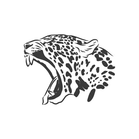 Jaguar. Hand drawn sketch illustration isolated on white background. portrait of a Jaguar animal ...