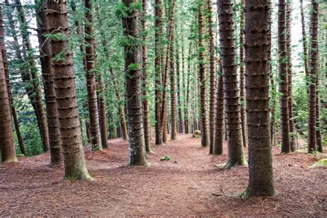 Kauai's Best Hiking Trails