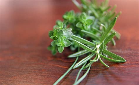 4 Reasons Thyme Is An Herb For Winter Health – Herbal Academy