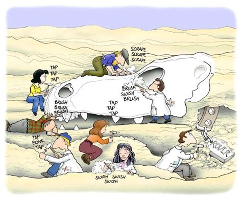 Check out our weekly archaeology cartoons on the TAC Facebook page ...