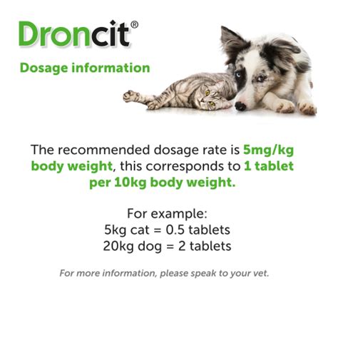 Vetoquinol Droncit Tapewormer Tablets For Cats & Dogs for Women on Sale - Up to 59% off at ...