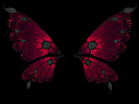 Download Red Wings Artistic Butterfly HD Wallpaper