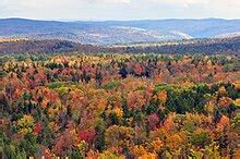 Wilmington, Vermont - Wikipedia