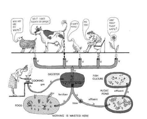 methane-cycle-drawing - World Habitat