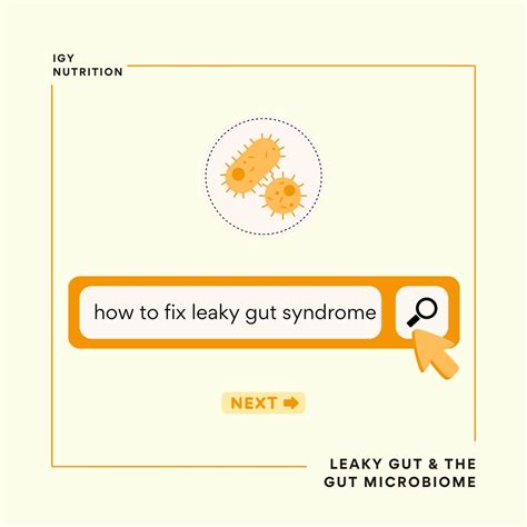 Gut Microbiome Composition and Leaky Gut: What to Do About It - IGY Nutrition