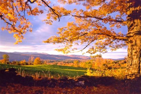 Warren, VT B&B: Grounds & Gardens at West Hill House B&B