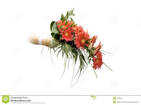 Wedding bouquet stock image. Image of love, colour, posy - 3762567