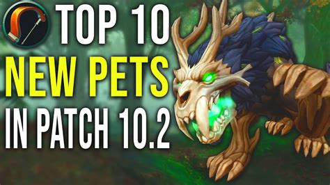 Top 10 New Hunter Pets Added in 10.2 Guardians of the Dream WoW - YouTube