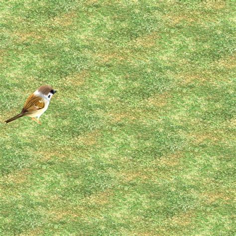 Walking Sparrow 3d model animation