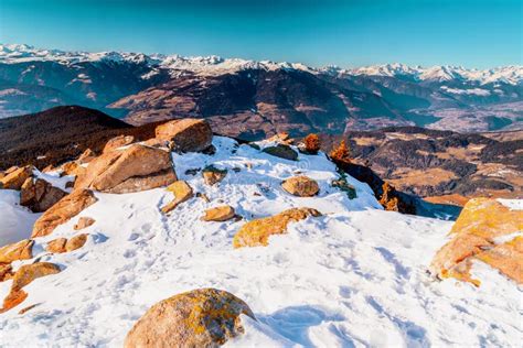 Winter White Snowy Mountains and Green Conifers Stock Photo - Image of ...