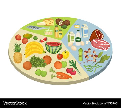 Food circle diagram concept in flat design Vector Image