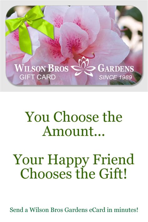 Wilson Brothers Nursery Mcdonough