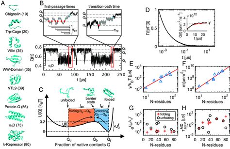 The folding and unfolding of eight fast-folding proteins. (A) Native... | Download Scientific ...