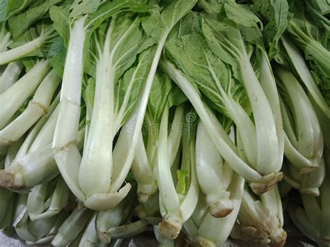 Fresh Chinese Pechay Vegetables at the Market. Cabbage Vegetables Stock Photo - Image of flower ...