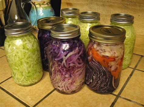 Pin by Kerri-Leigh Grady on Vegan Recipes | Sauerkraut, Homemade sauerkraut, Sauerkraut recipes