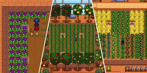 The Best Crops To Grow In Your Greenhouse In Stardew Valley