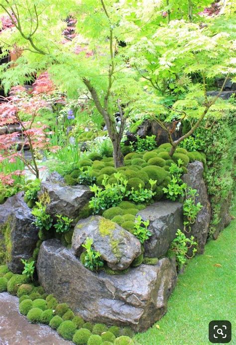 Reddit - gardening - Does anyone know how this moss effect was created? | Japanese garden ...