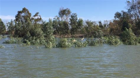 Menindee Lakes & Lower Darling Fact Sheets - Key Water