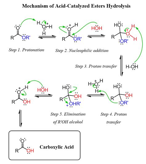 Hidrólisis de ésteres: Mecanismo Catalizado por Ácido y Base | Peaceful ...
