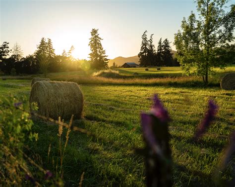 Sunset Farm — The Wilderness Within