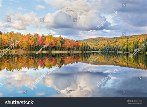 Vibrantly Colorful Fall Foliage White Clouds Stock Photo 333631730 ...