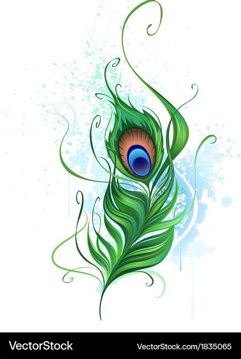 Peacock feather Royalty Free Vector Image - VectorStock